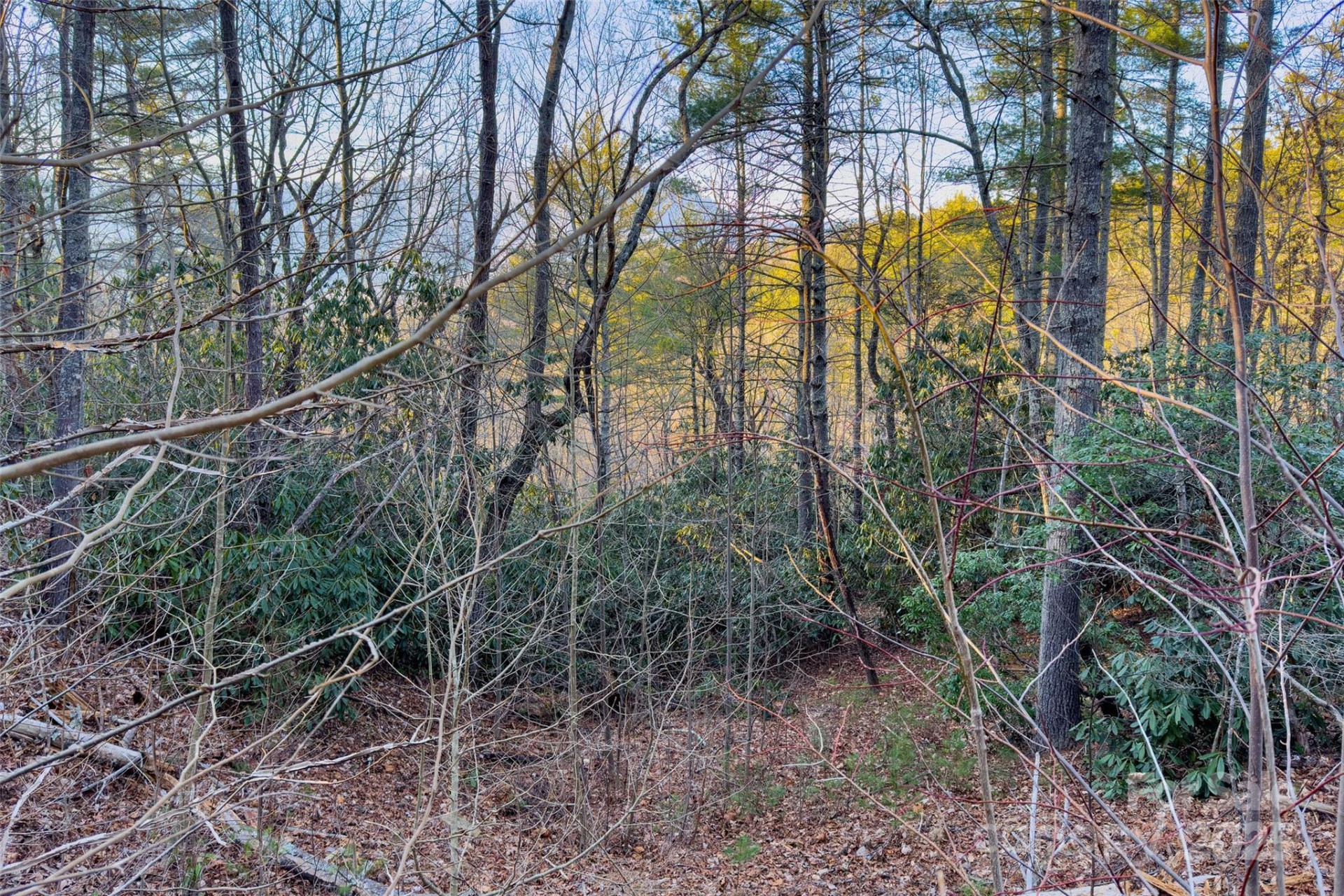 LOT #84 Little Fox Run - Photo 17