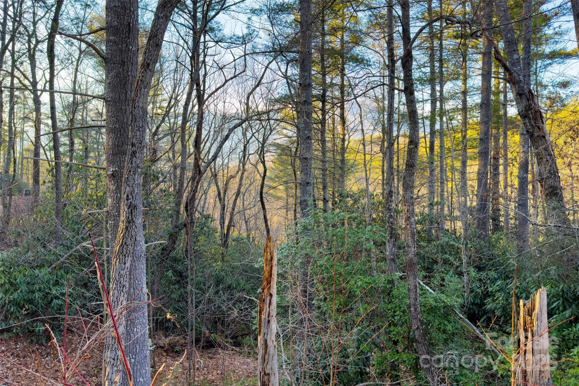 LOT #84 Little Fox Run - Photo 18