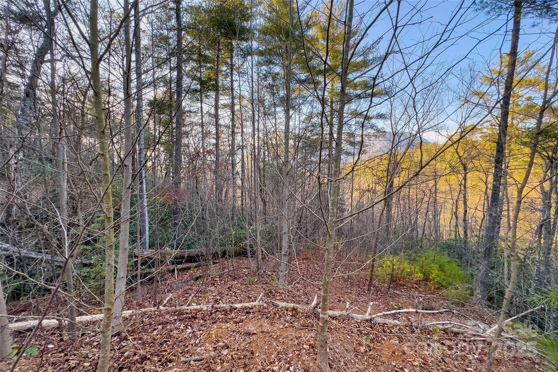 LOT #84 Little Fox Run - Photo 19