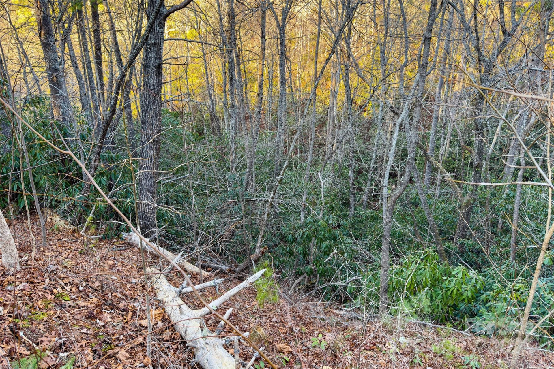 LOT #84 Little Fox Run - Photo 20