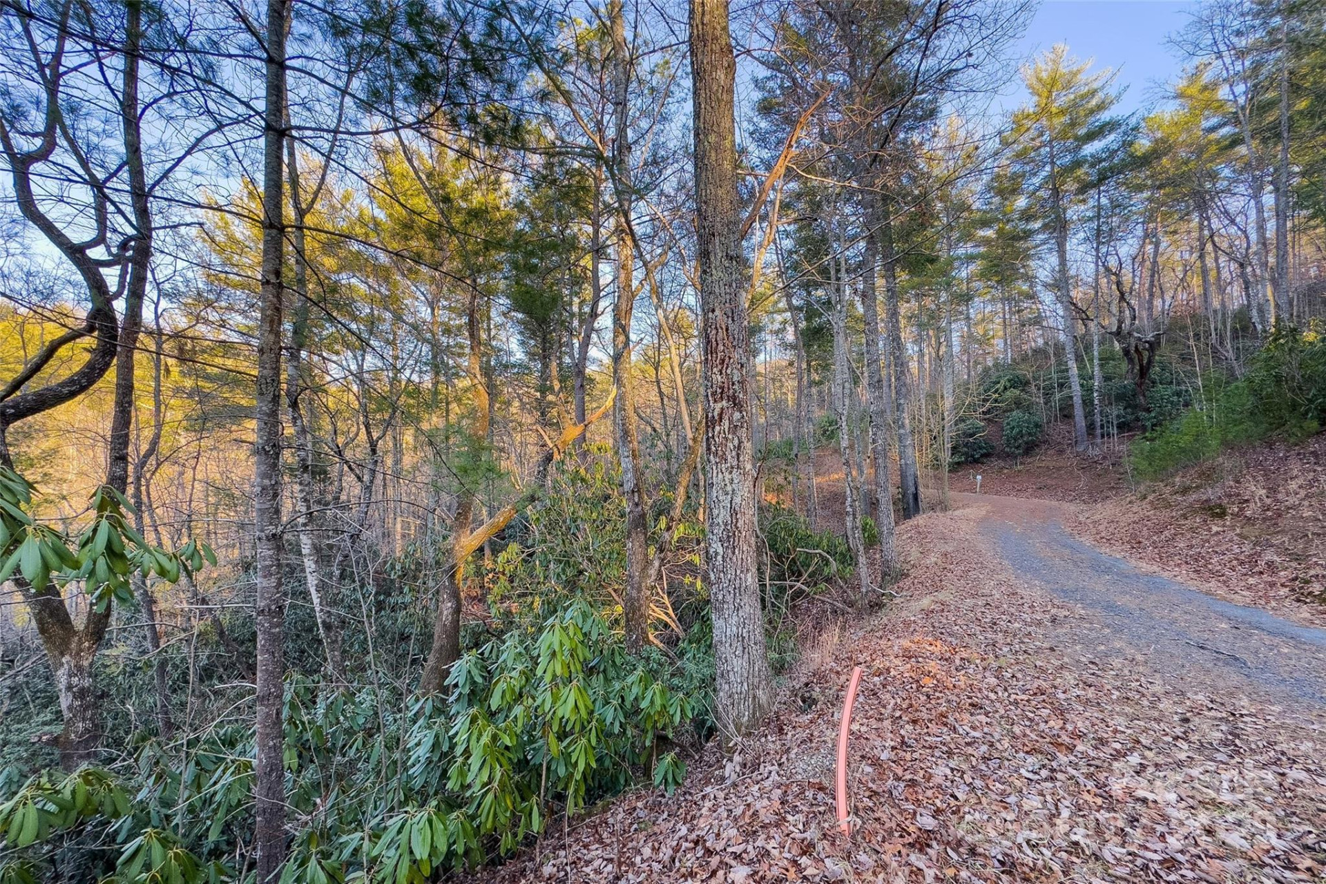 LOT #84 Little Fox Run - Photo 21