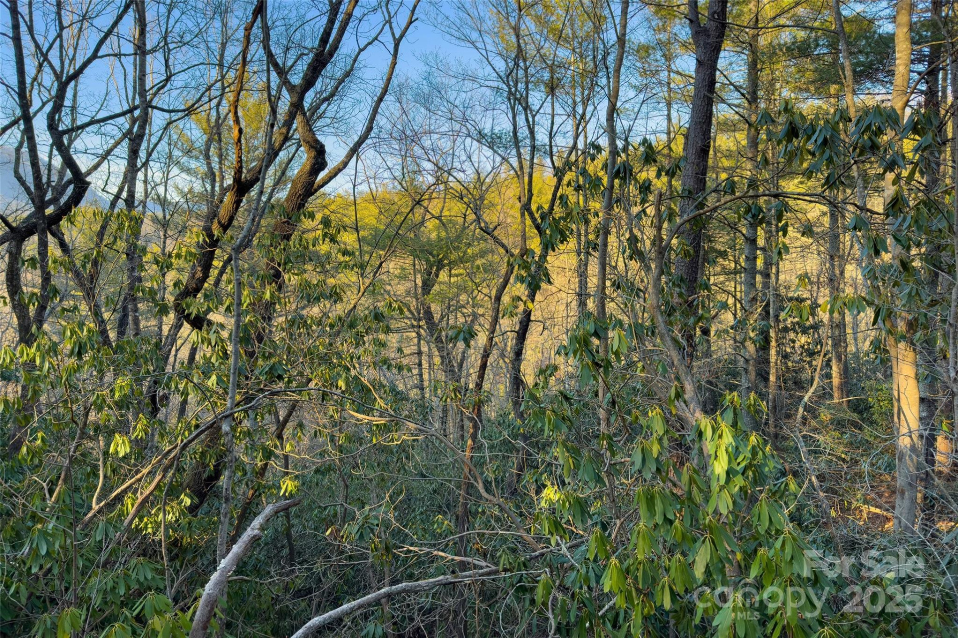 LOT #84 Little Fox Run - Photo 9