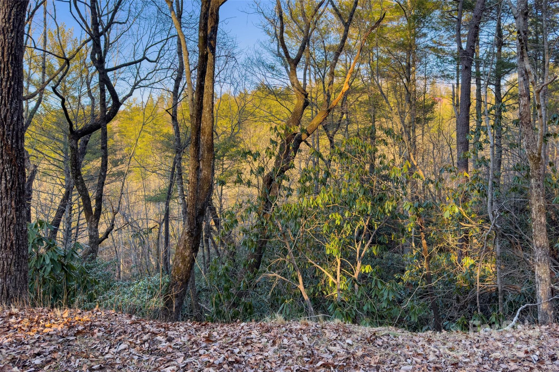 LOT #84 Little Fox Run - Photo 10