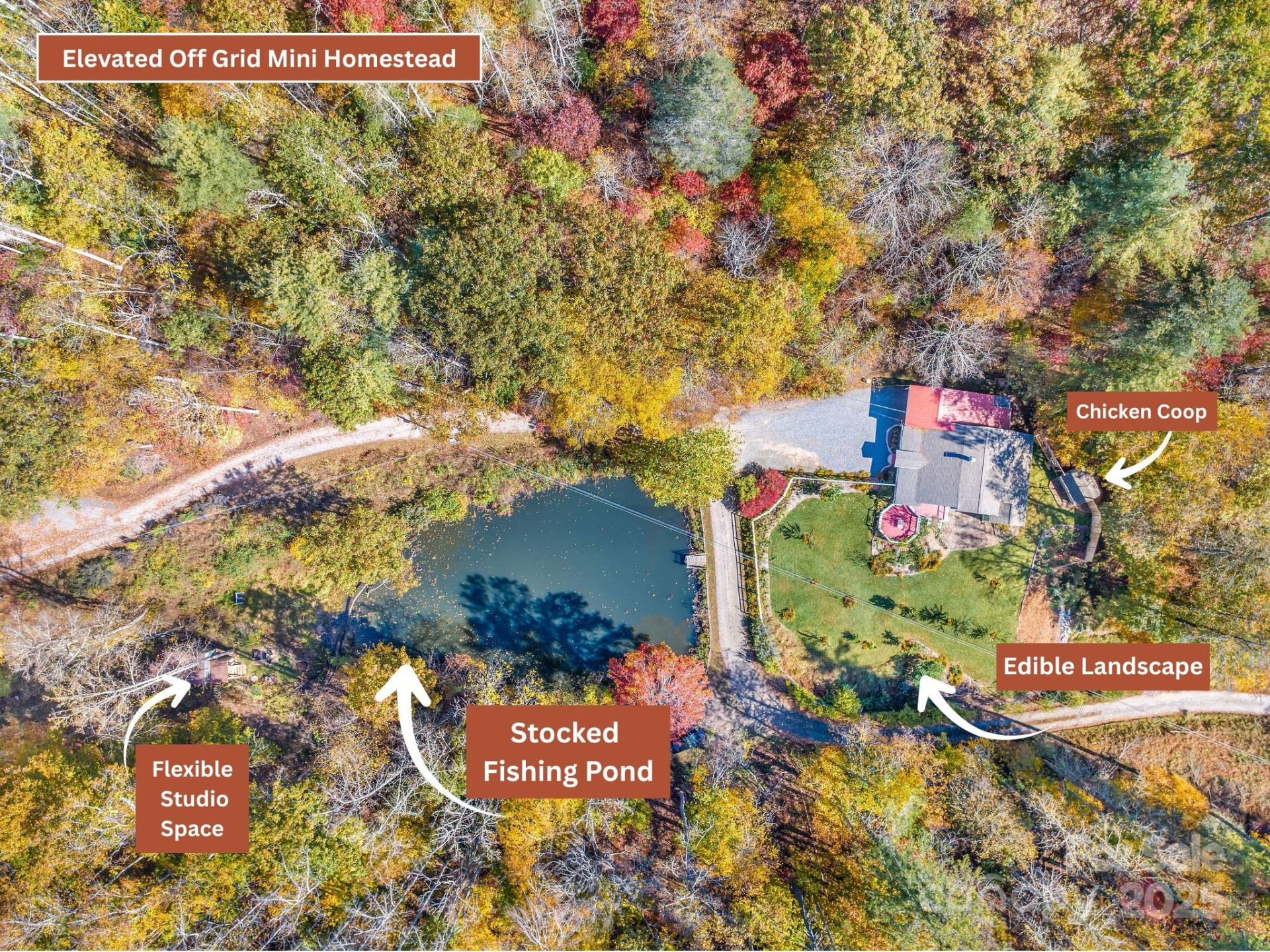 226 Fish Pond Lane - Photo 2