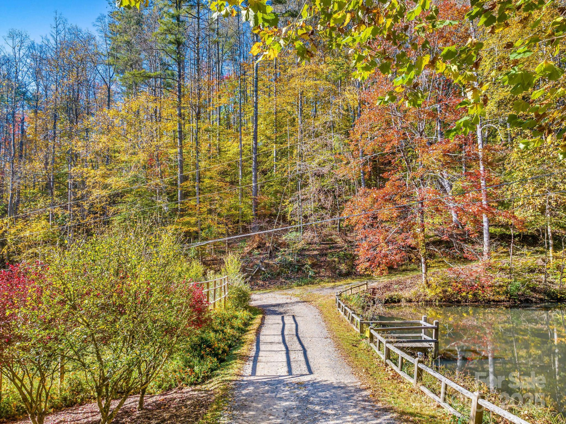 226 Fish Pond Lane - Photo 34