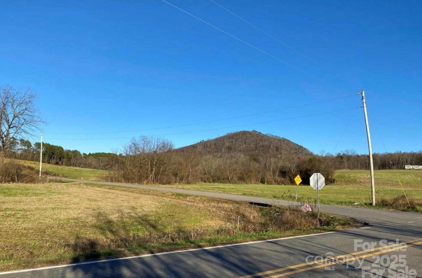 533 Pilot Ridge Road #26 - Photo 4
