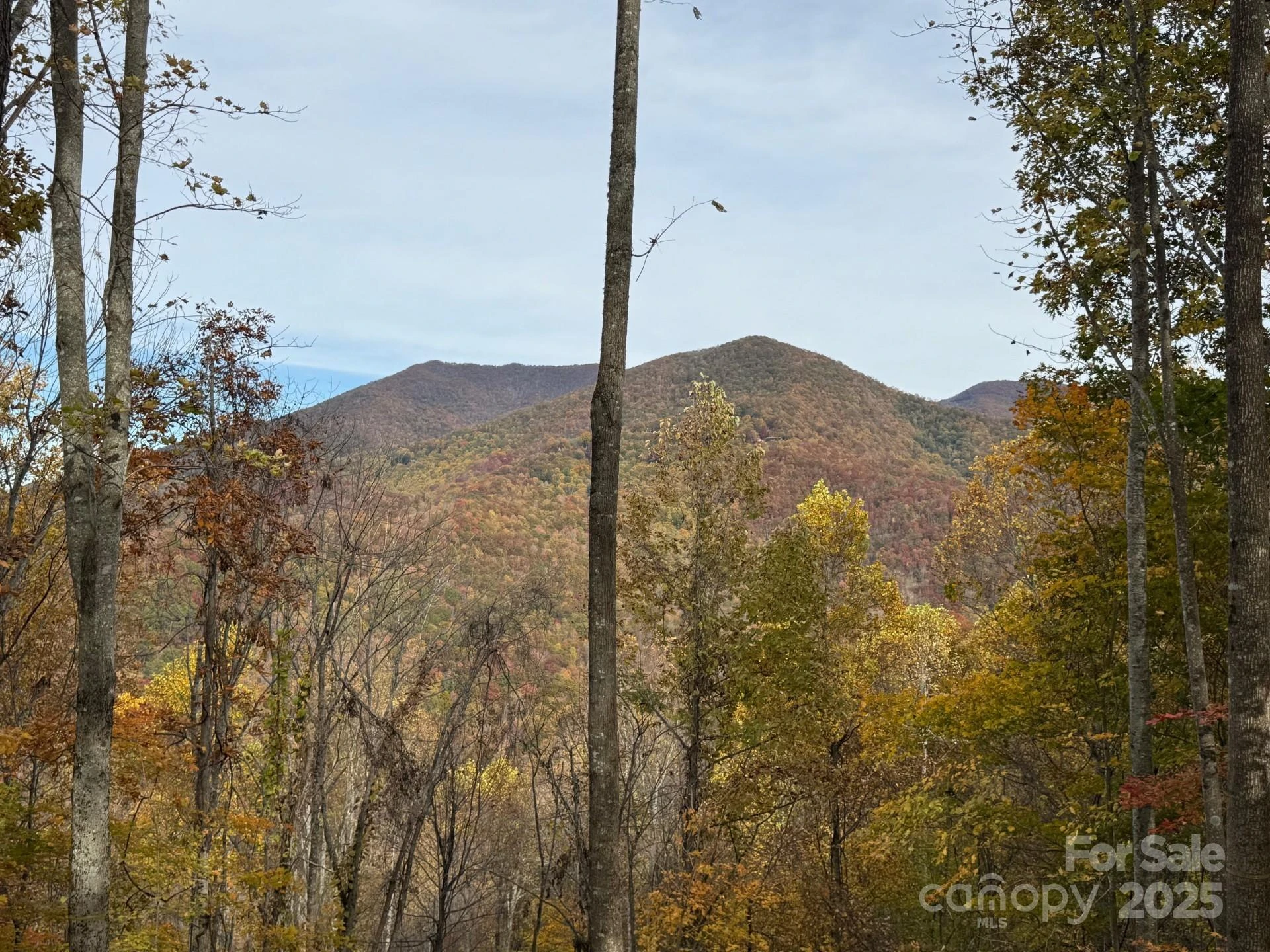 223 Flying Dutchman Road - Photo 2