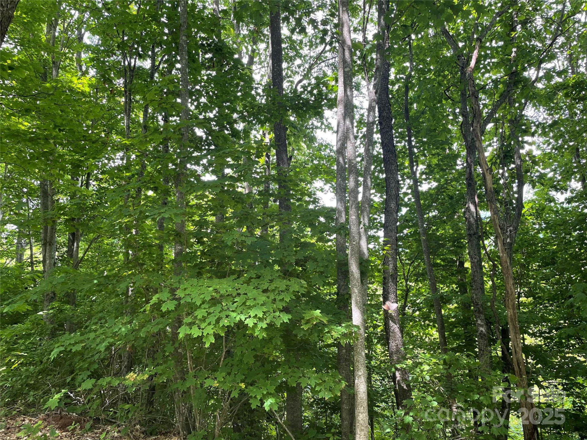 223 Flying Dutchman Road - Photo 11