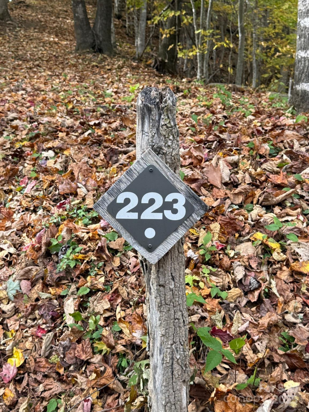 223 Flying Dutchman Road - Photo 3