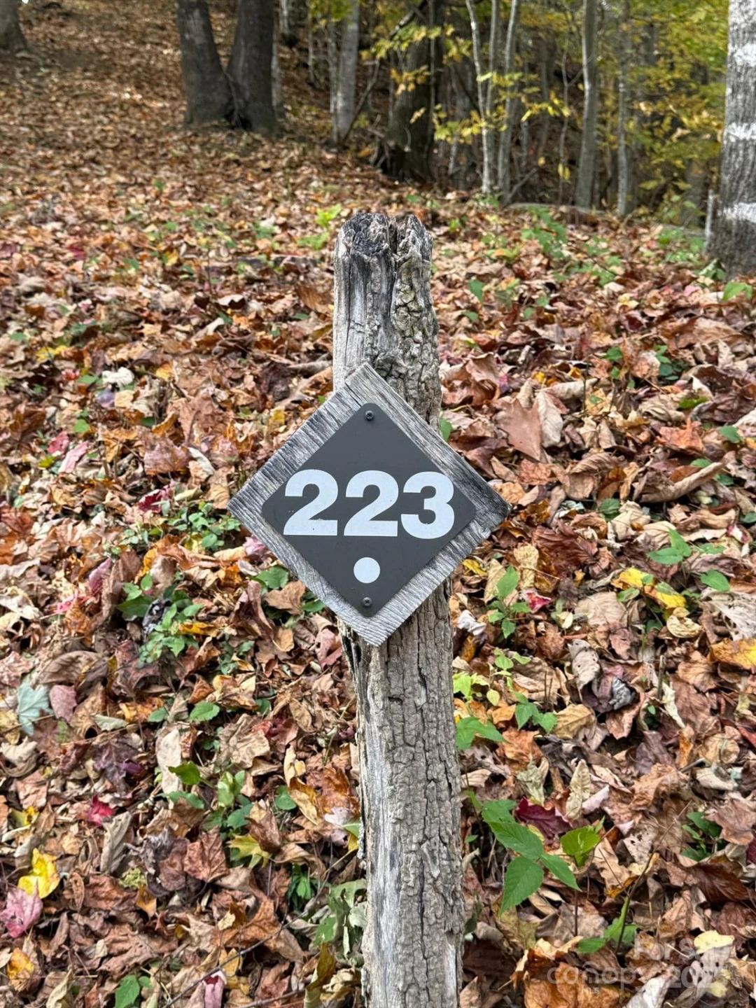 223 Flying Dutchman Road - Photo 3