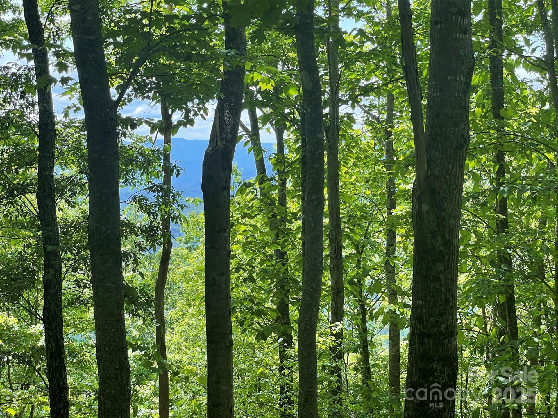 223 Flying Dutchman Road - Photo 4