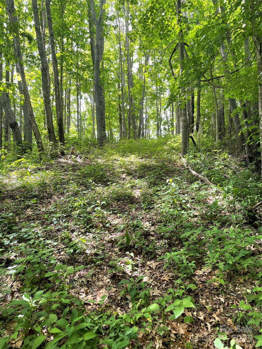 223 Flying Dutchman Road - Photo 7