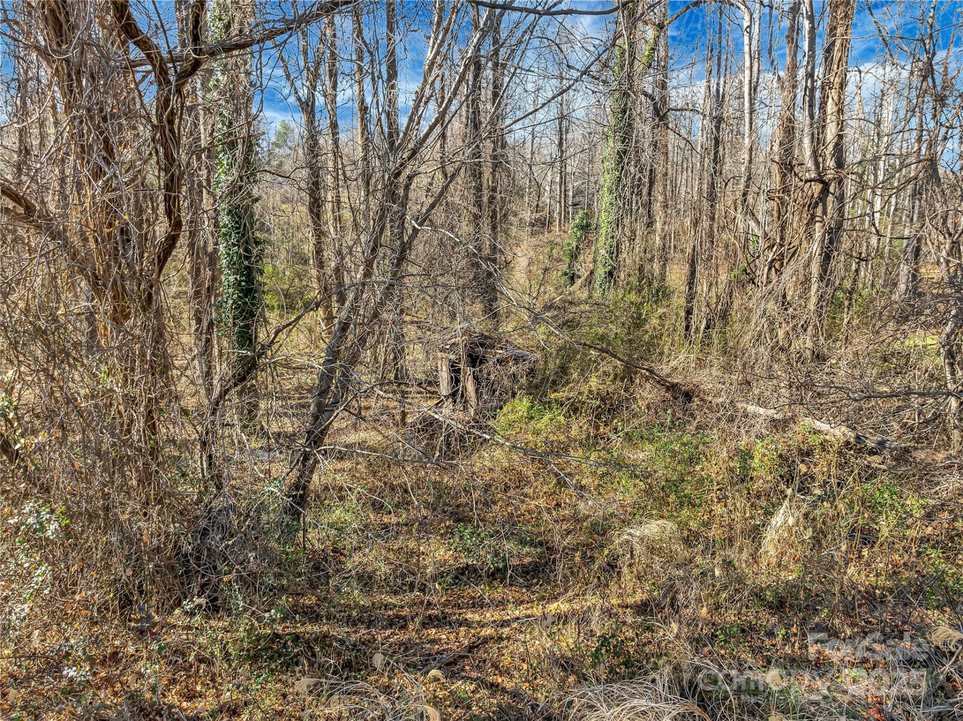 283 Ozone Drive - Photo 7