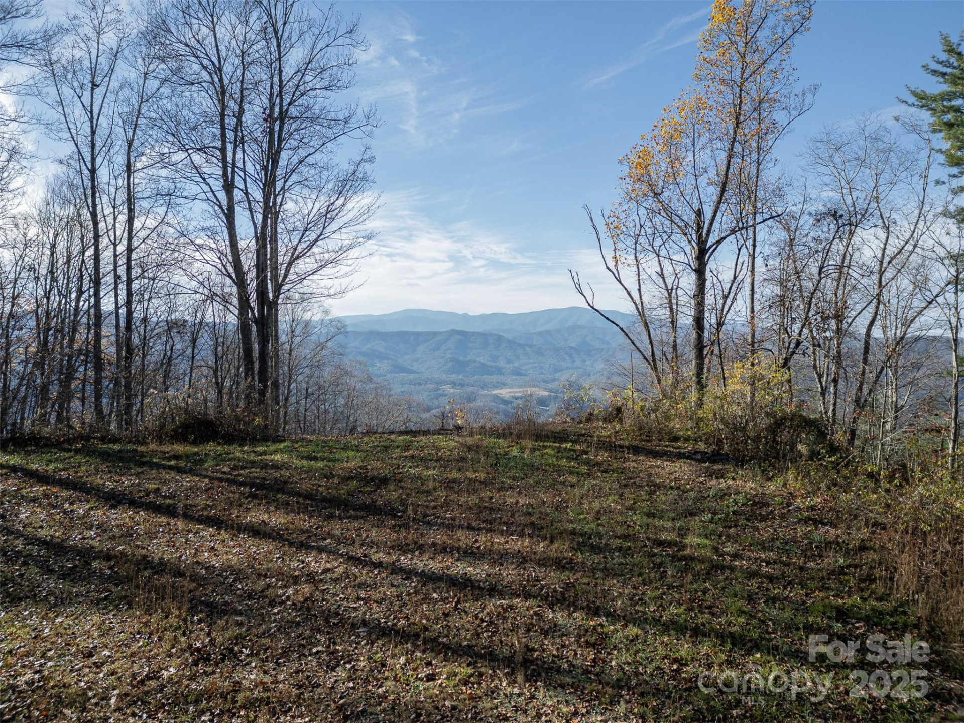 1098 Hyacinth Drive - Photo 2