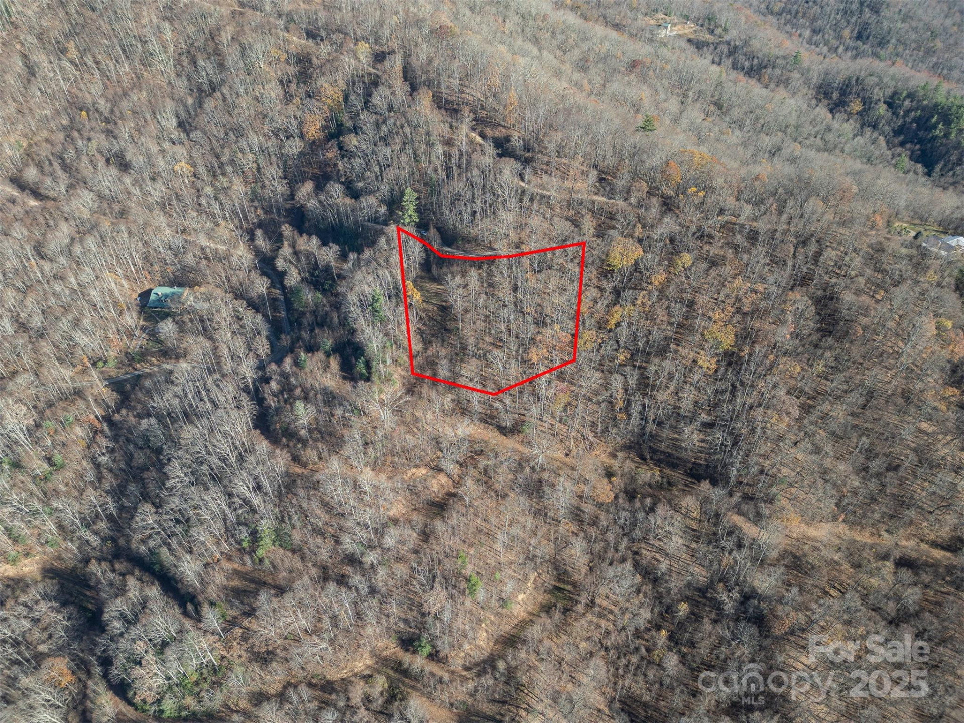 1098 Hyacinth Drive - Photo 11