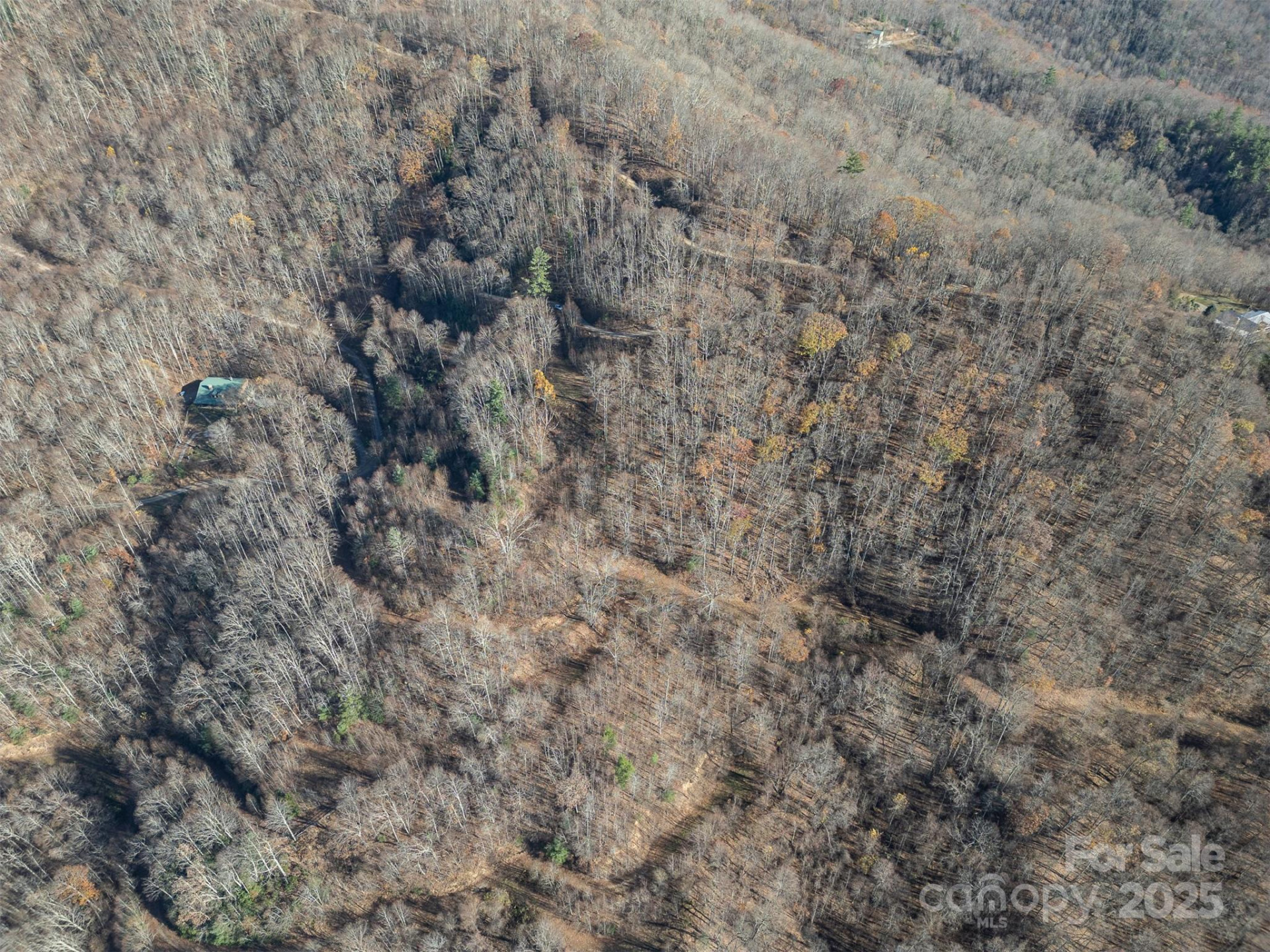 1098 Hyacinth Drive - Photo 12