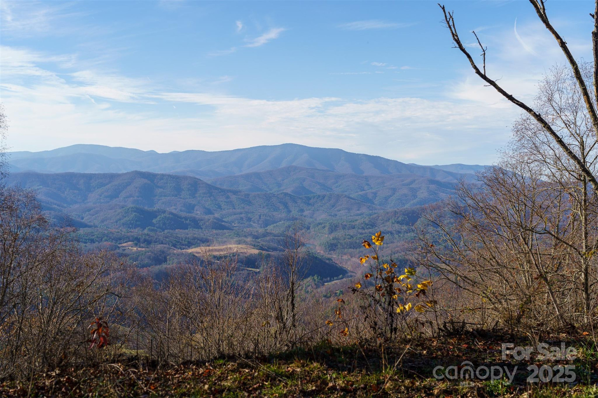 1098 Hyacinth Drive - Photo 3