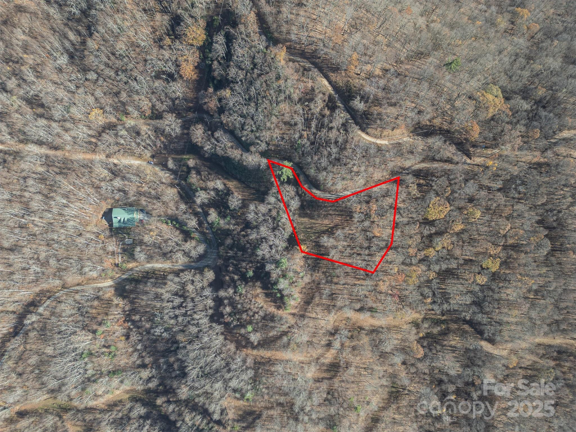 1098 Hyacinth Drive - Photo 4