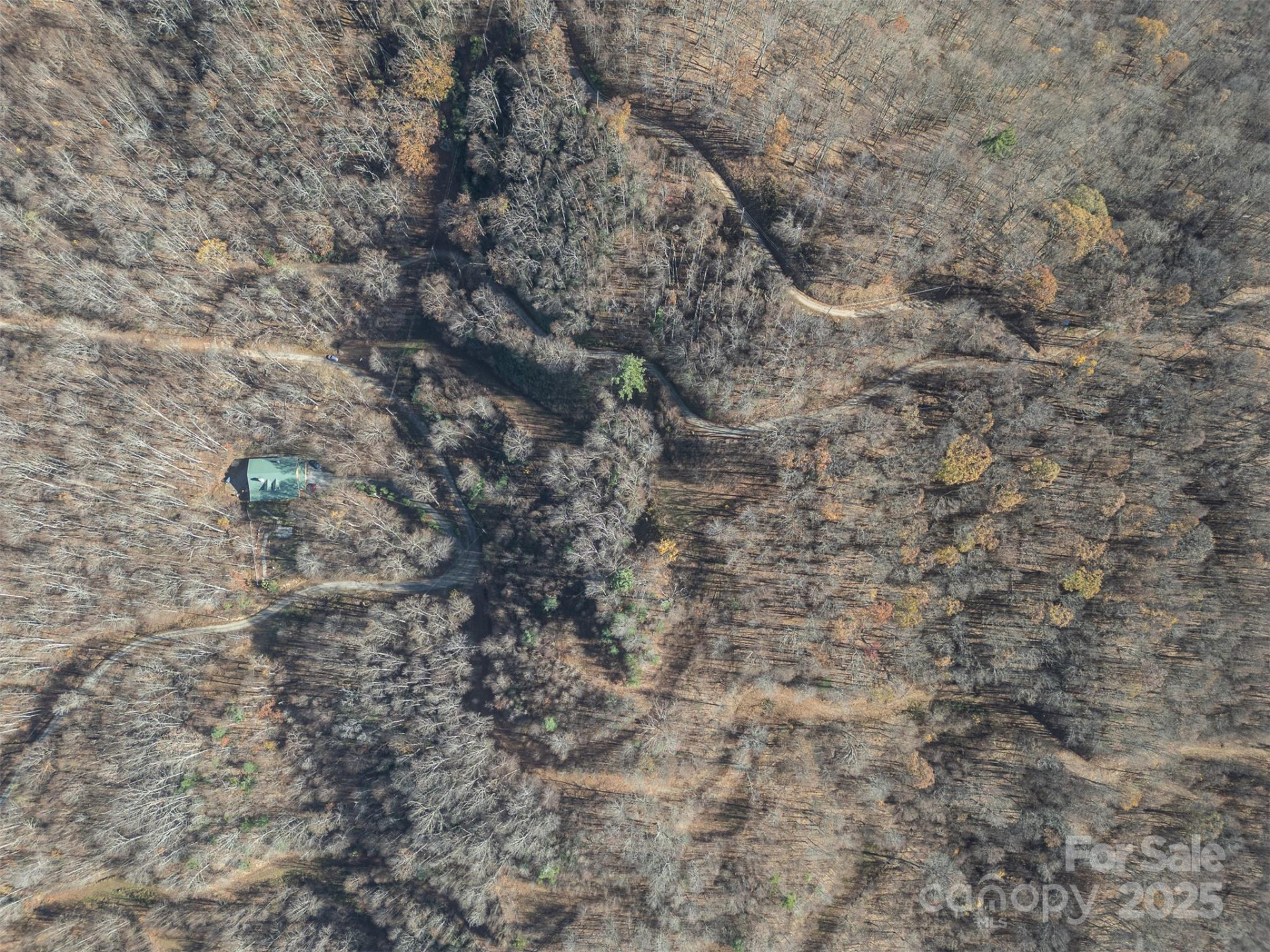 1098 Hyacinth Drive - Photo 5