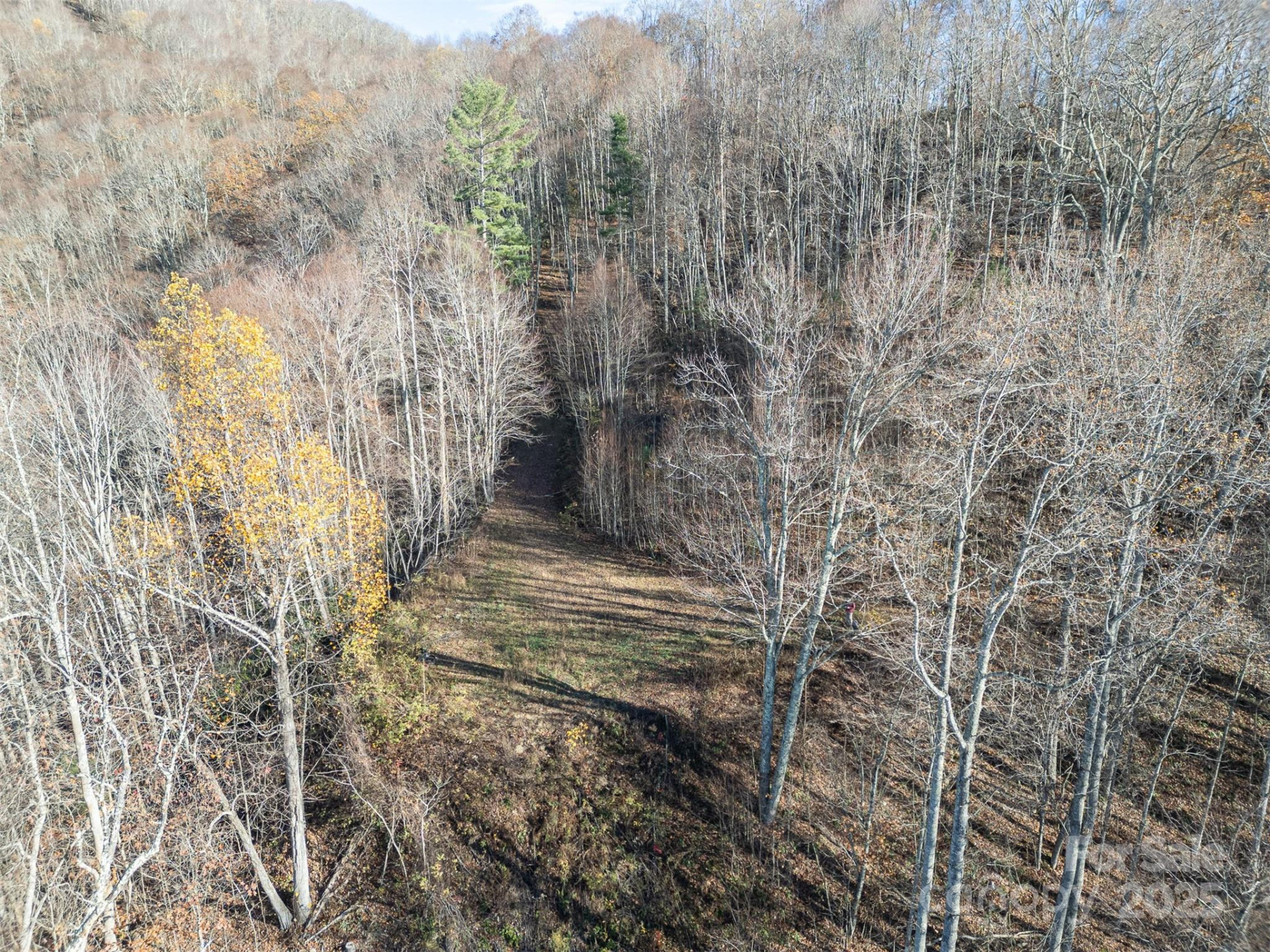 1098 Hyacinth Drive - Photo 10