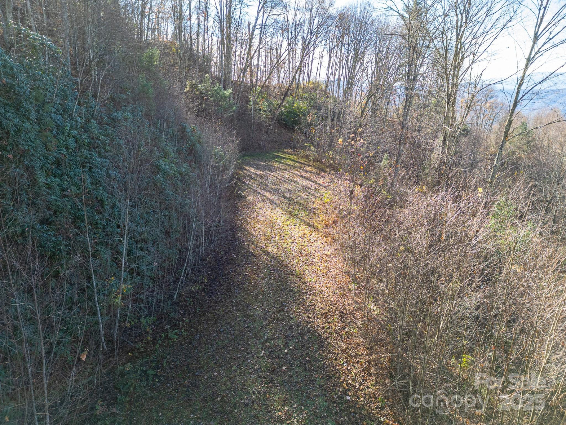 0000 Hyacinth Drive - Photo 2