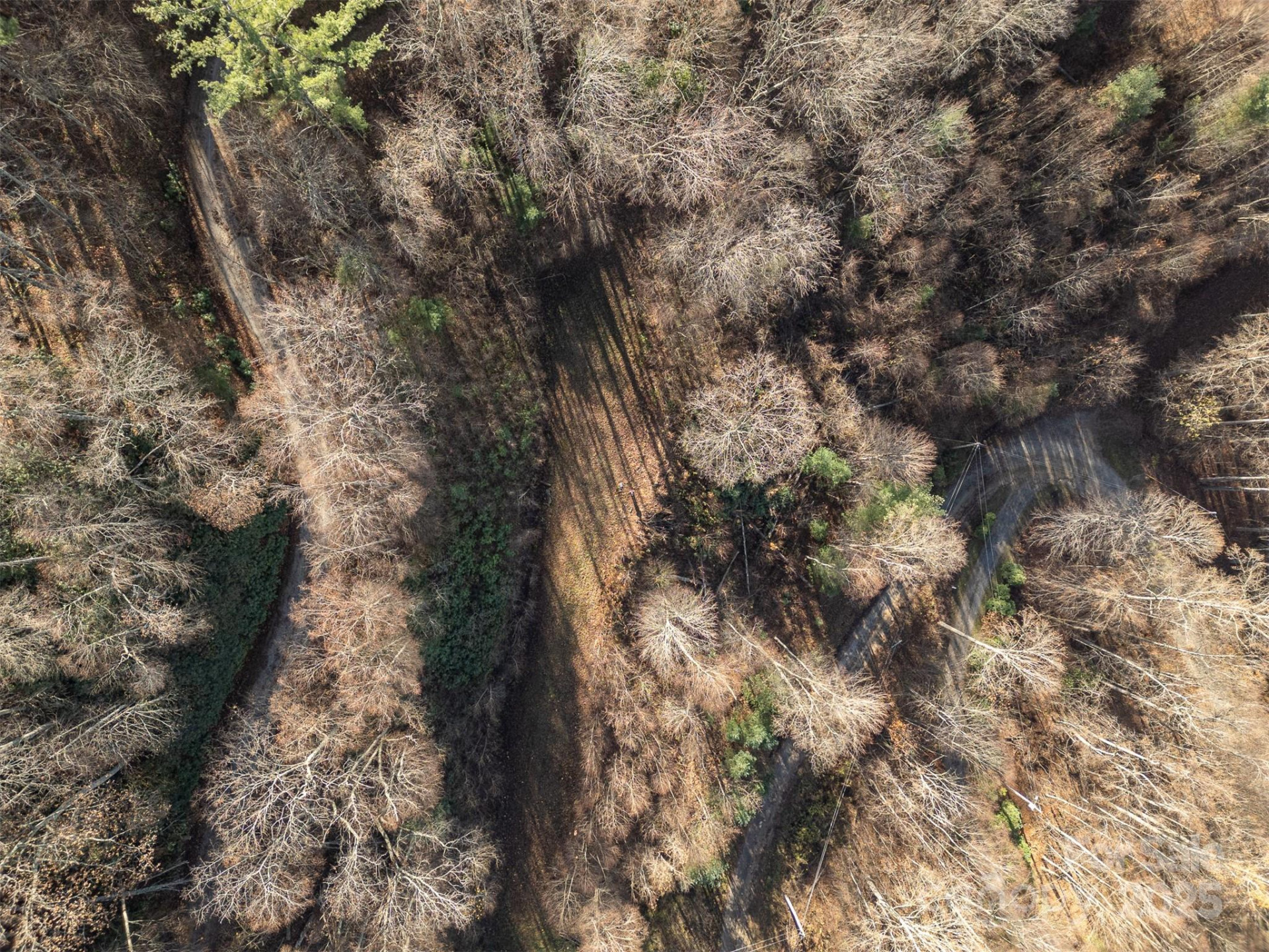 0000 Hyacinth Drive - Photo 16