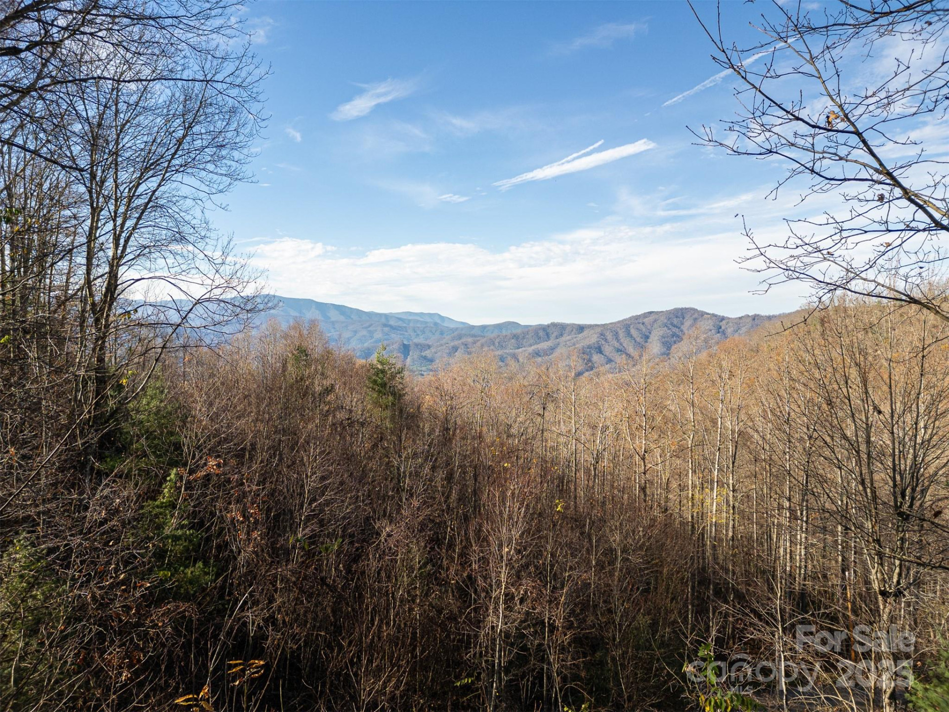 0000 Hyacinth Drive - Photo 17