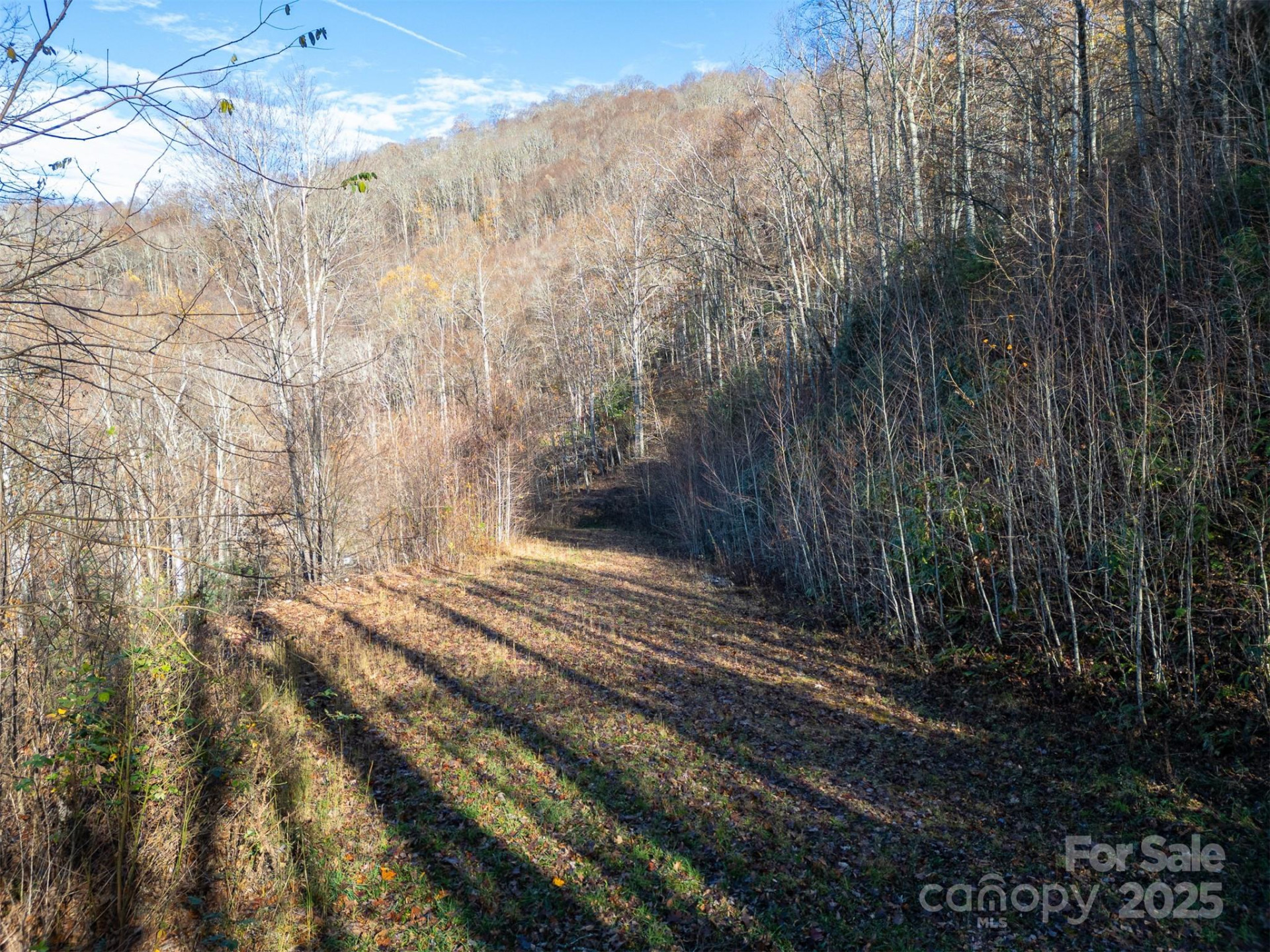 0000 Hyacinth Drive - Photo 3