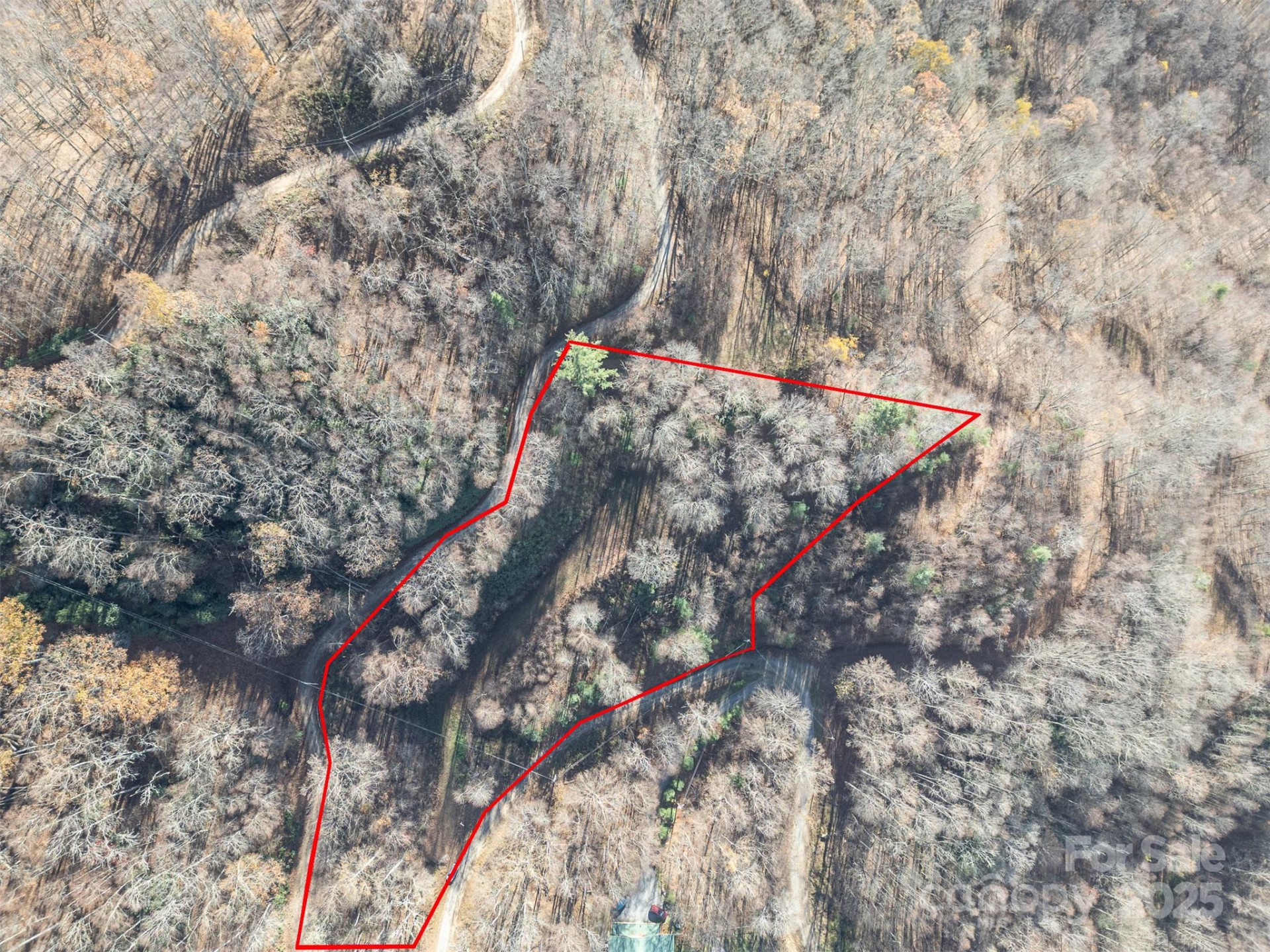 0000 Hyacinth Drive - Photo 5