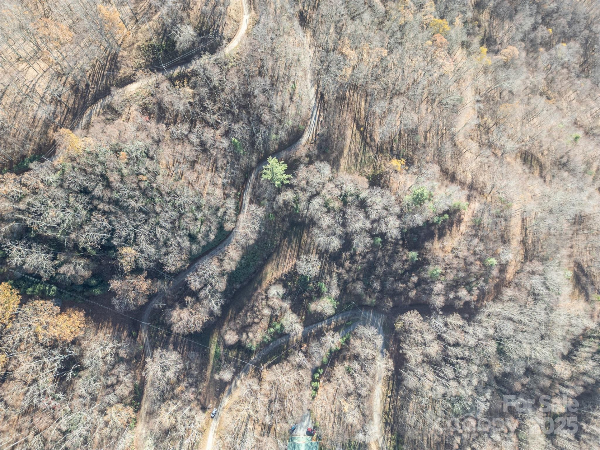 0000 Hyacinth Drive - Photo 6