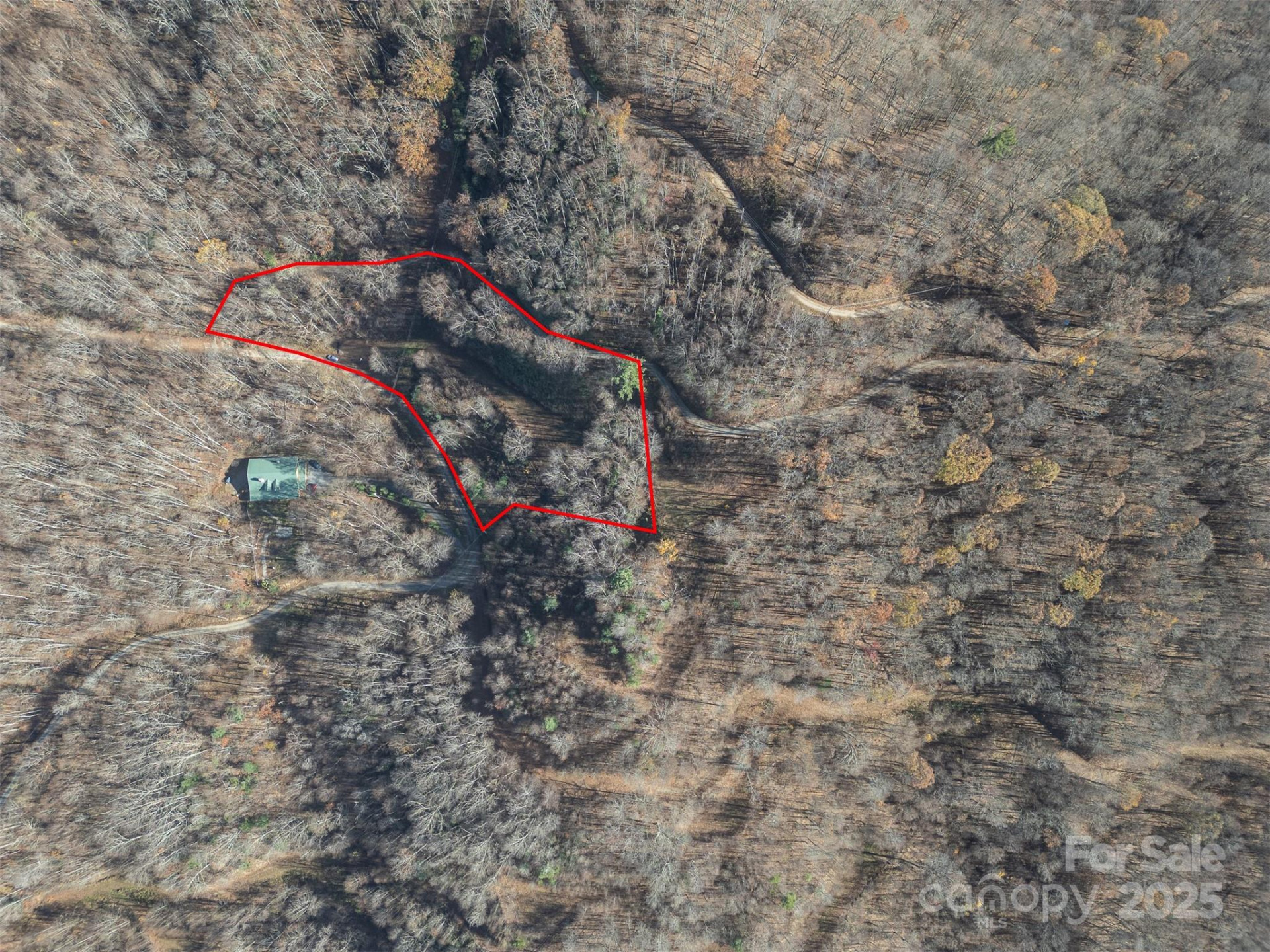 0000 Hyacinth Drive - Photo 8