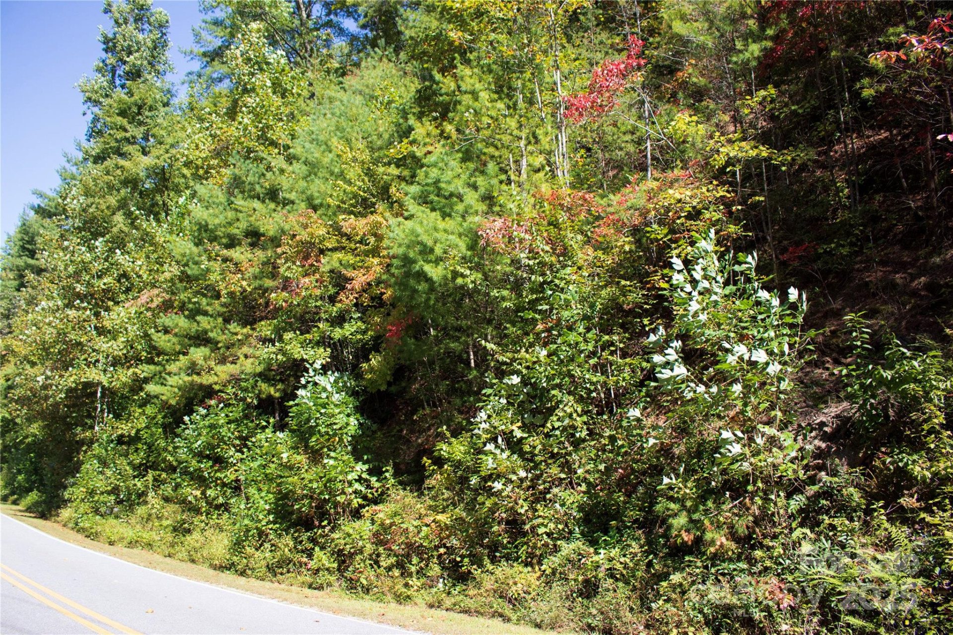 TBD Frozen Creek None #34 - Photo 2