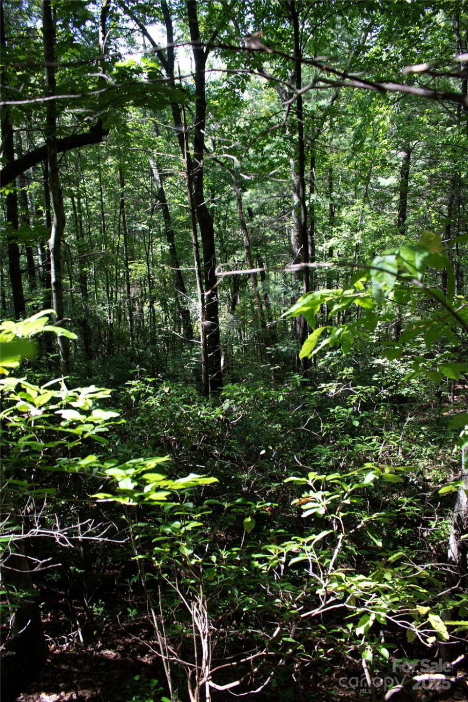 TBD Frozen Creek None #34 - Photo 3