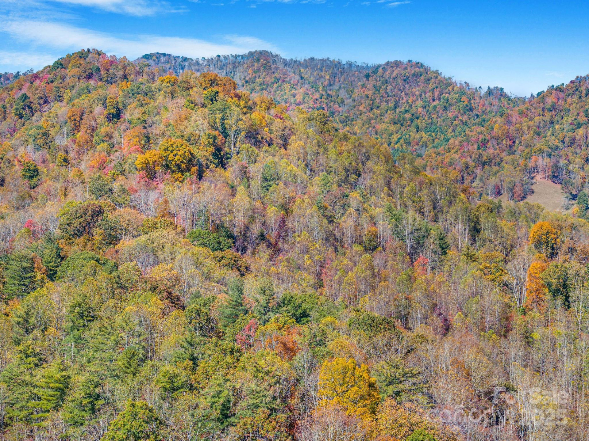 148 Fish Pond Lane - Photo 11