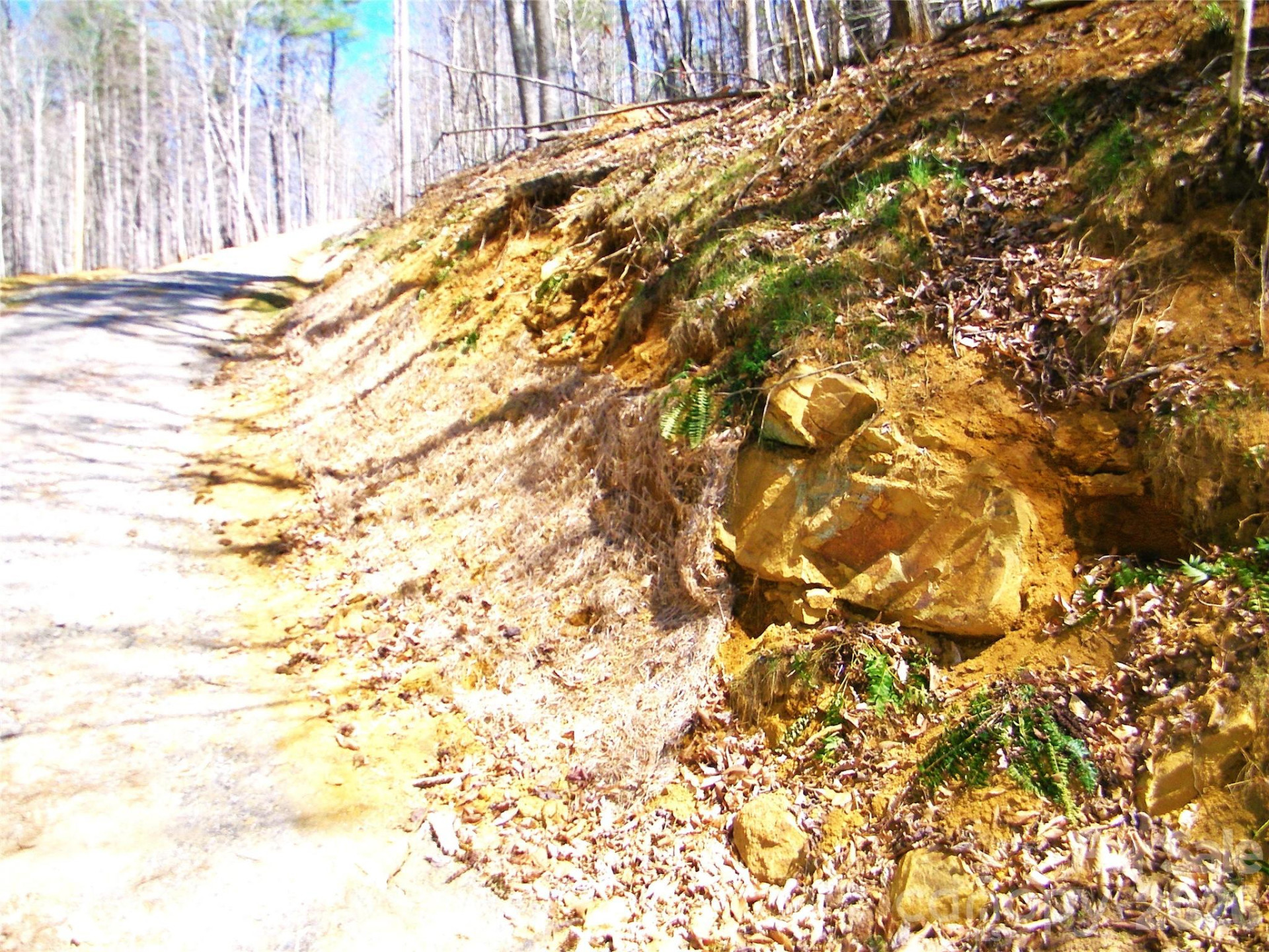 148 Fish Pond Lane - Photo 31