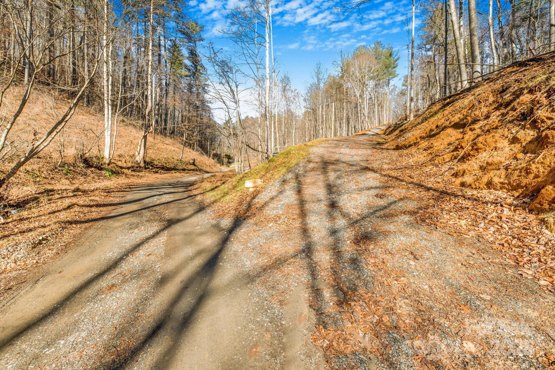 148 Fish Pond Lane - Photo 6