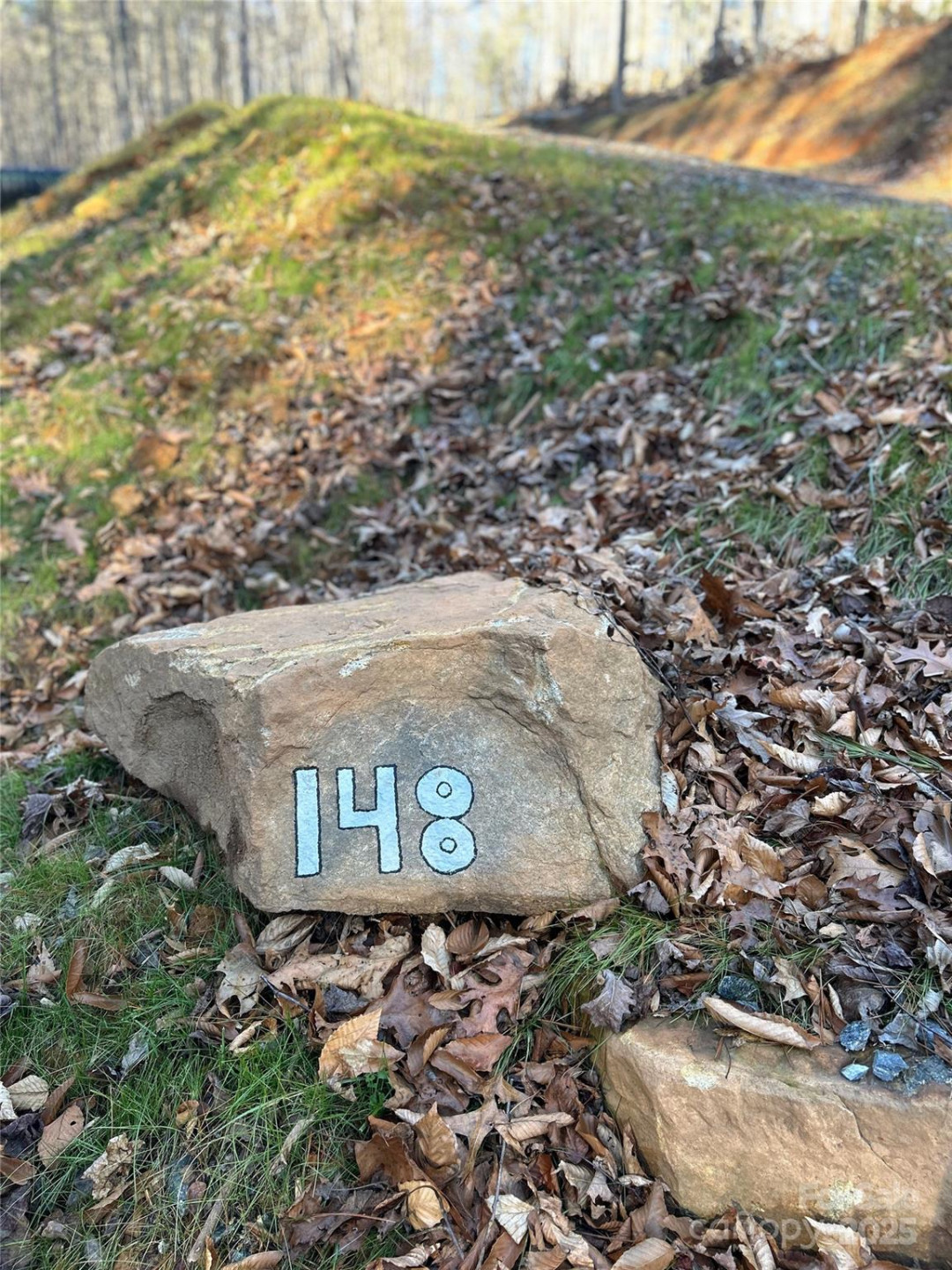 148 Fish Pond Lane - Photo 7