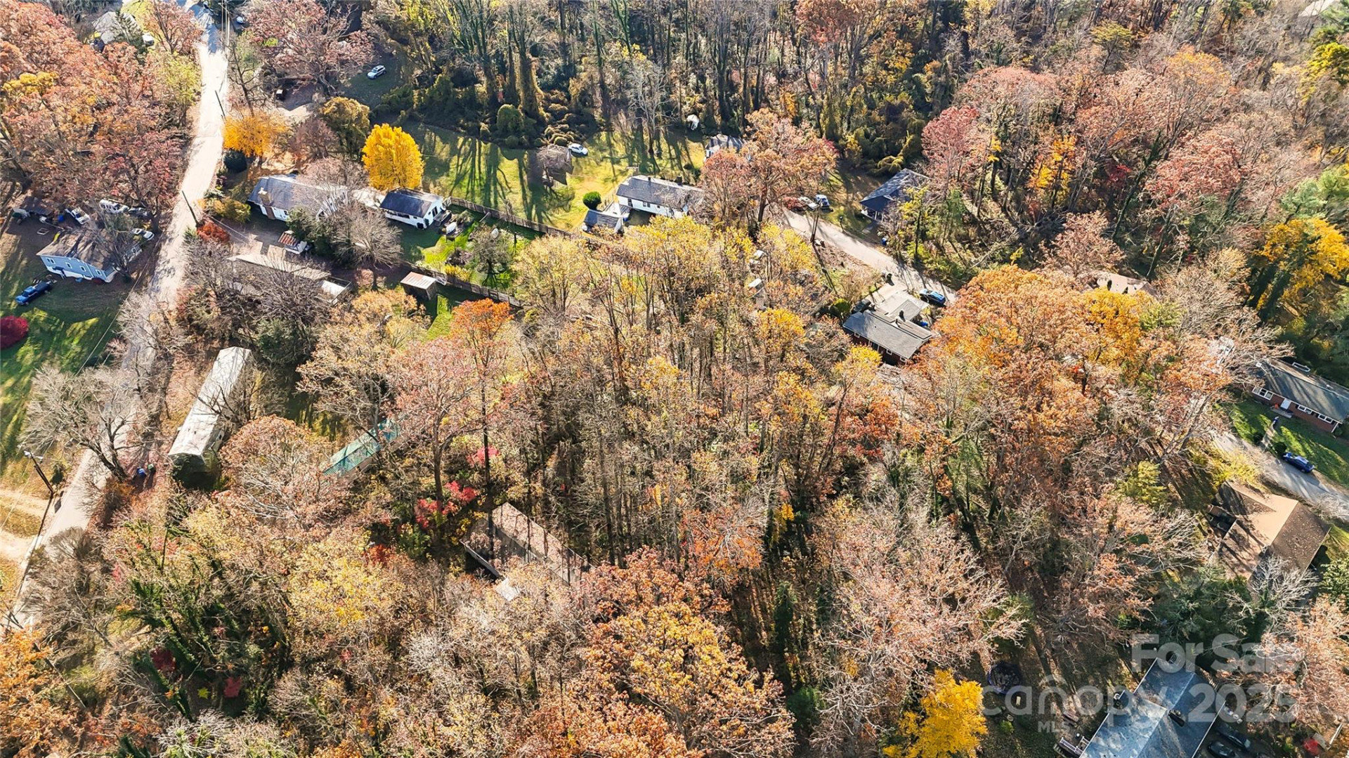 99999 Caribou Road - Photo 7