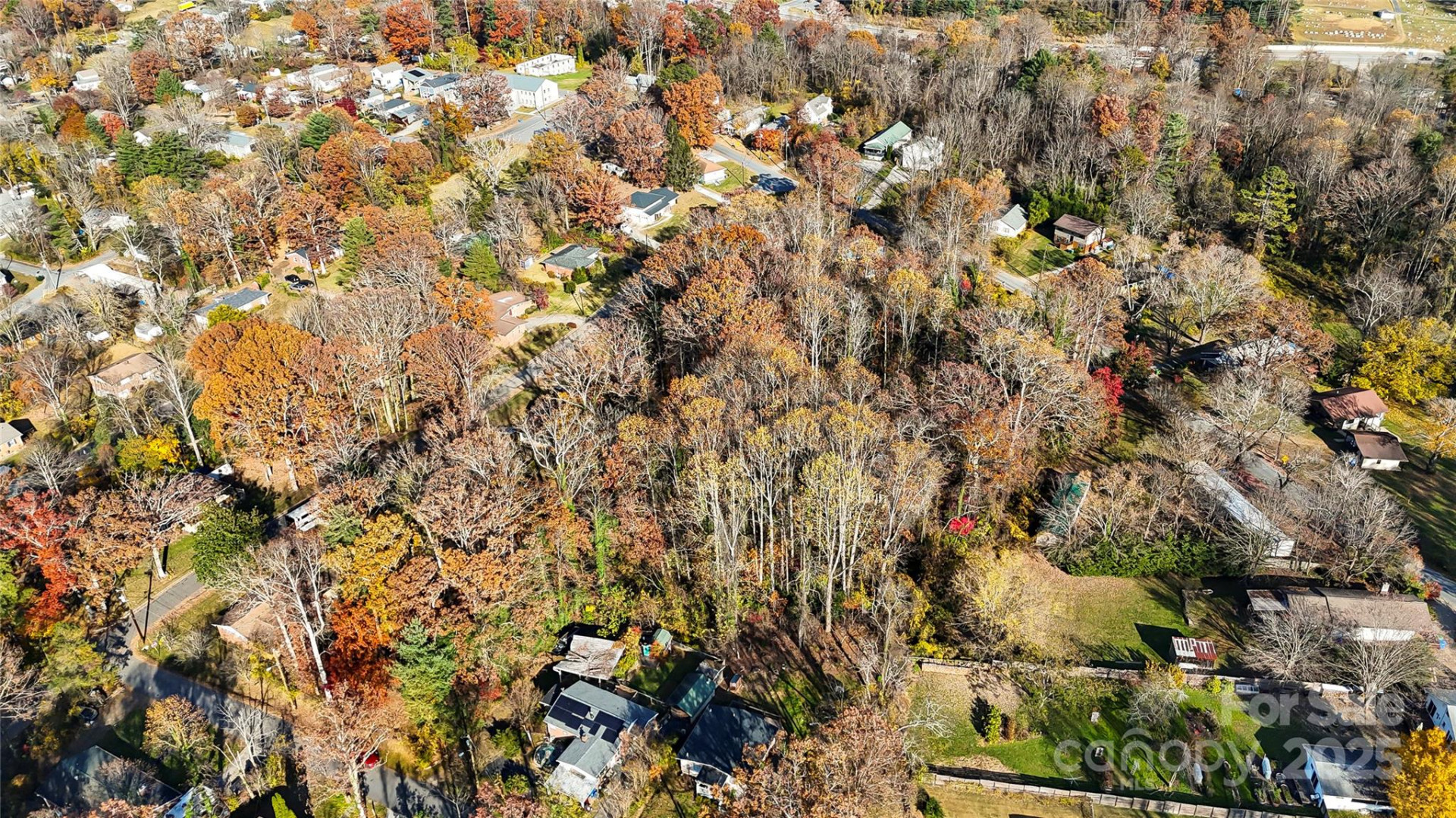 99999 Caribou Road - Photo 5