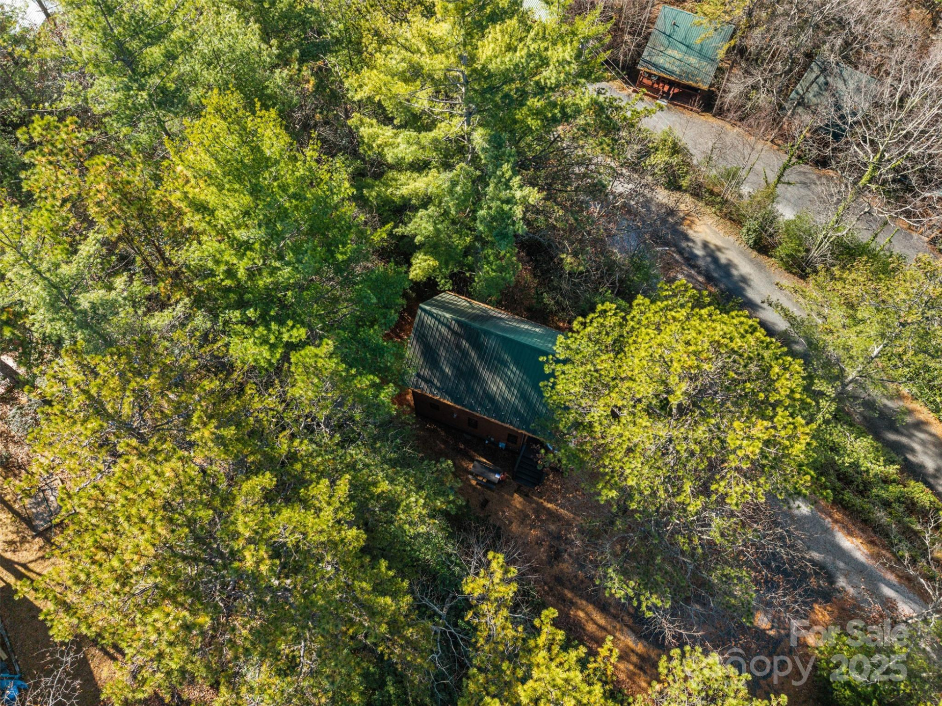 68 Bear Den Mountain View Drive - Photo 25