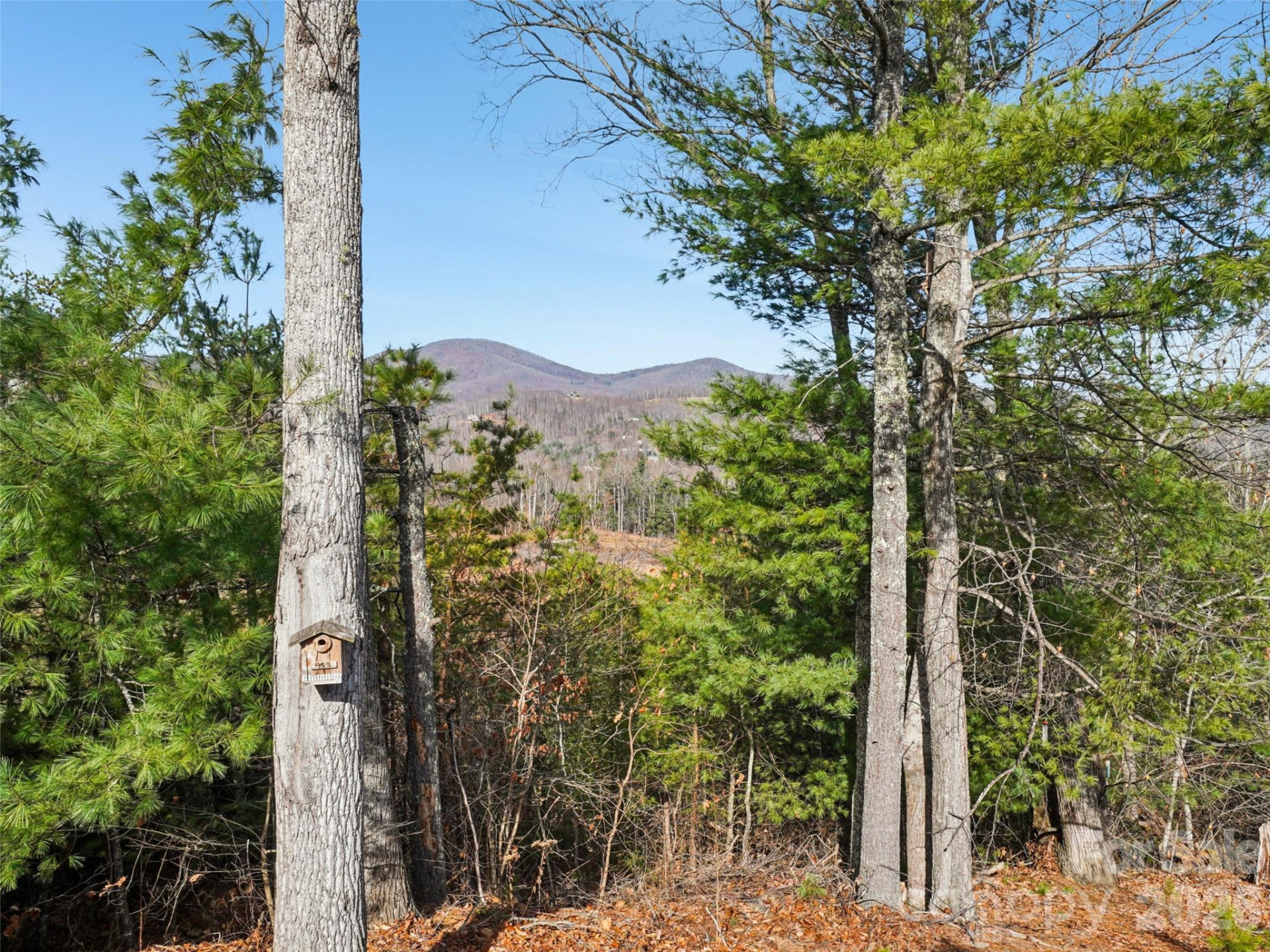 959 Silverglen Way - Photo 39