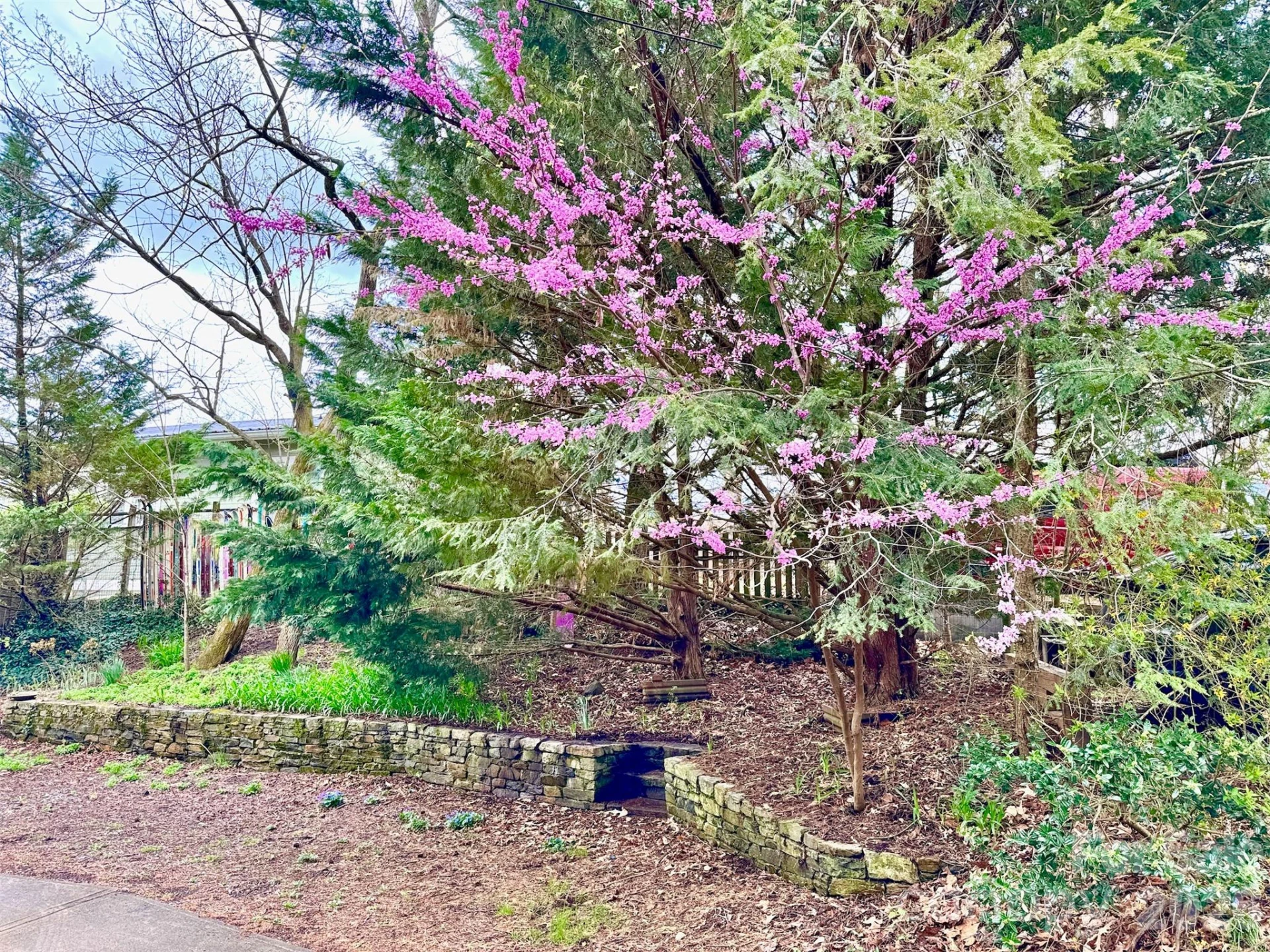 297 Hillside Street - Photo 27