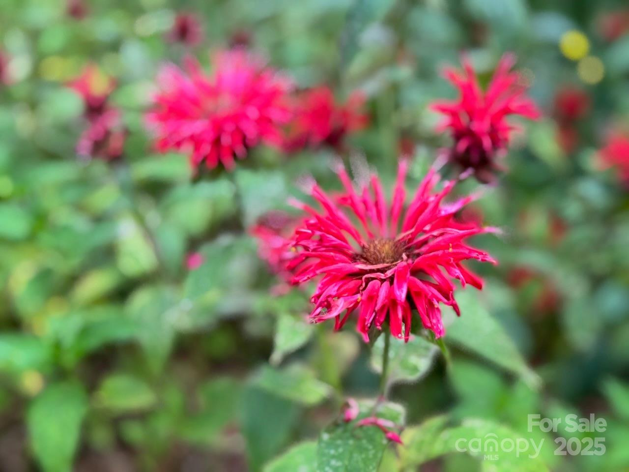 297 Hillside Street - Photo 4