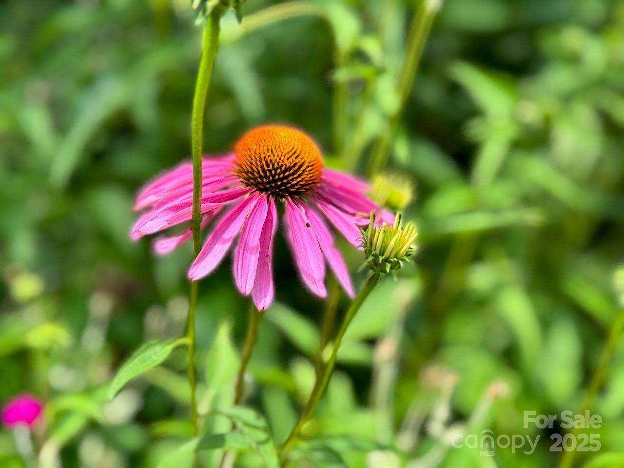 297 Hillside Street - Photo 37