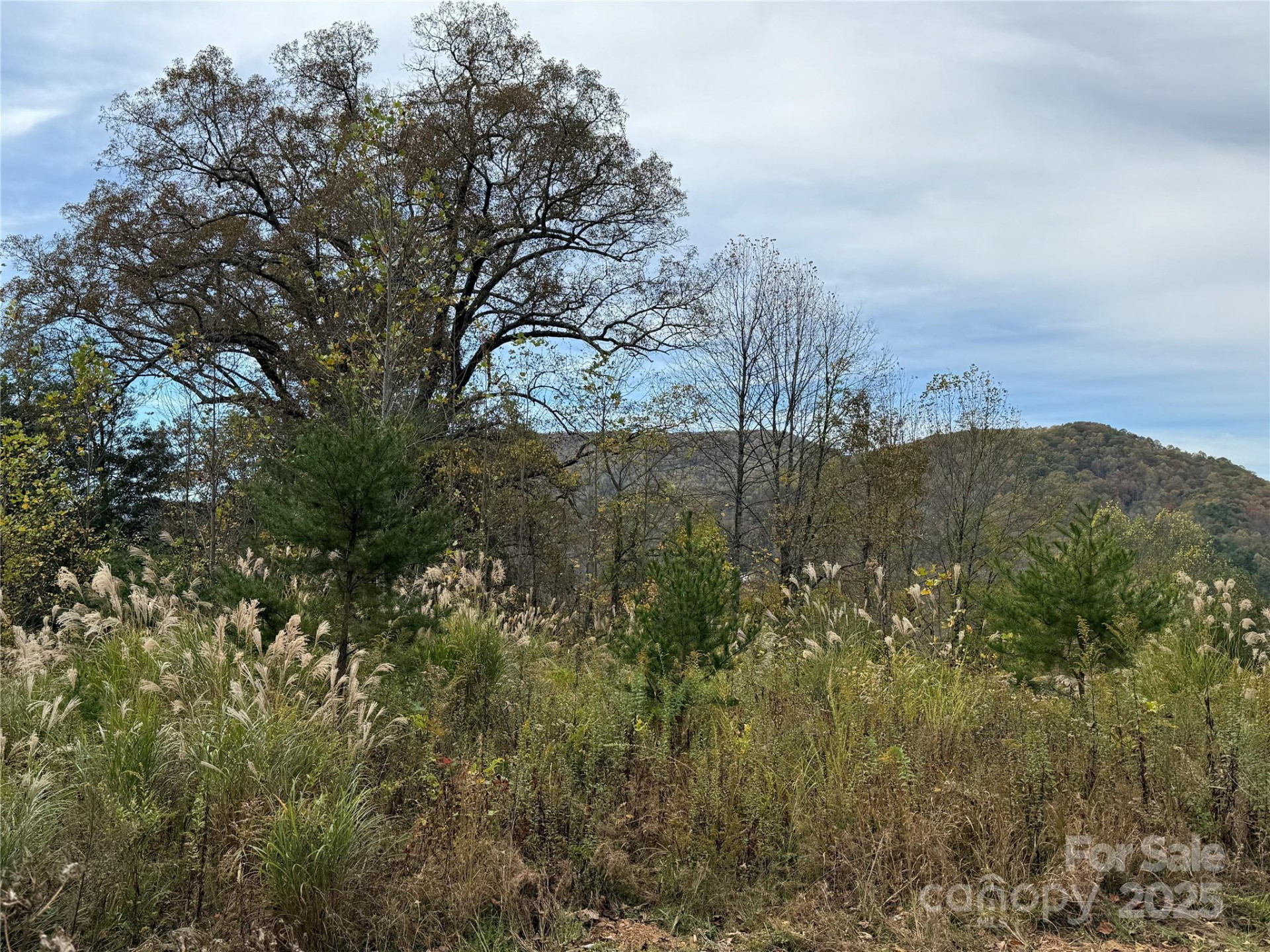 Lot # 3 West Legacy Drive #3 - Photo 16