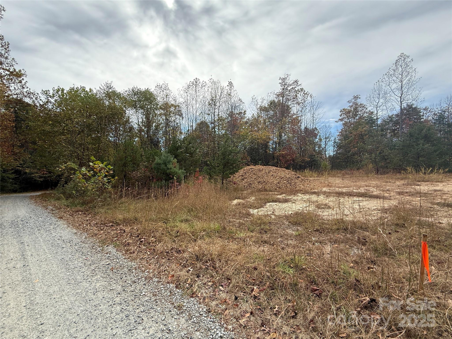 Lot # 3 West Legacy Drive #3 - Photo 3