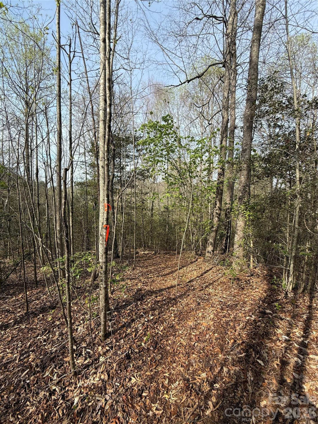 Lot # 3 West Legacy Drive #3 - Photo 57