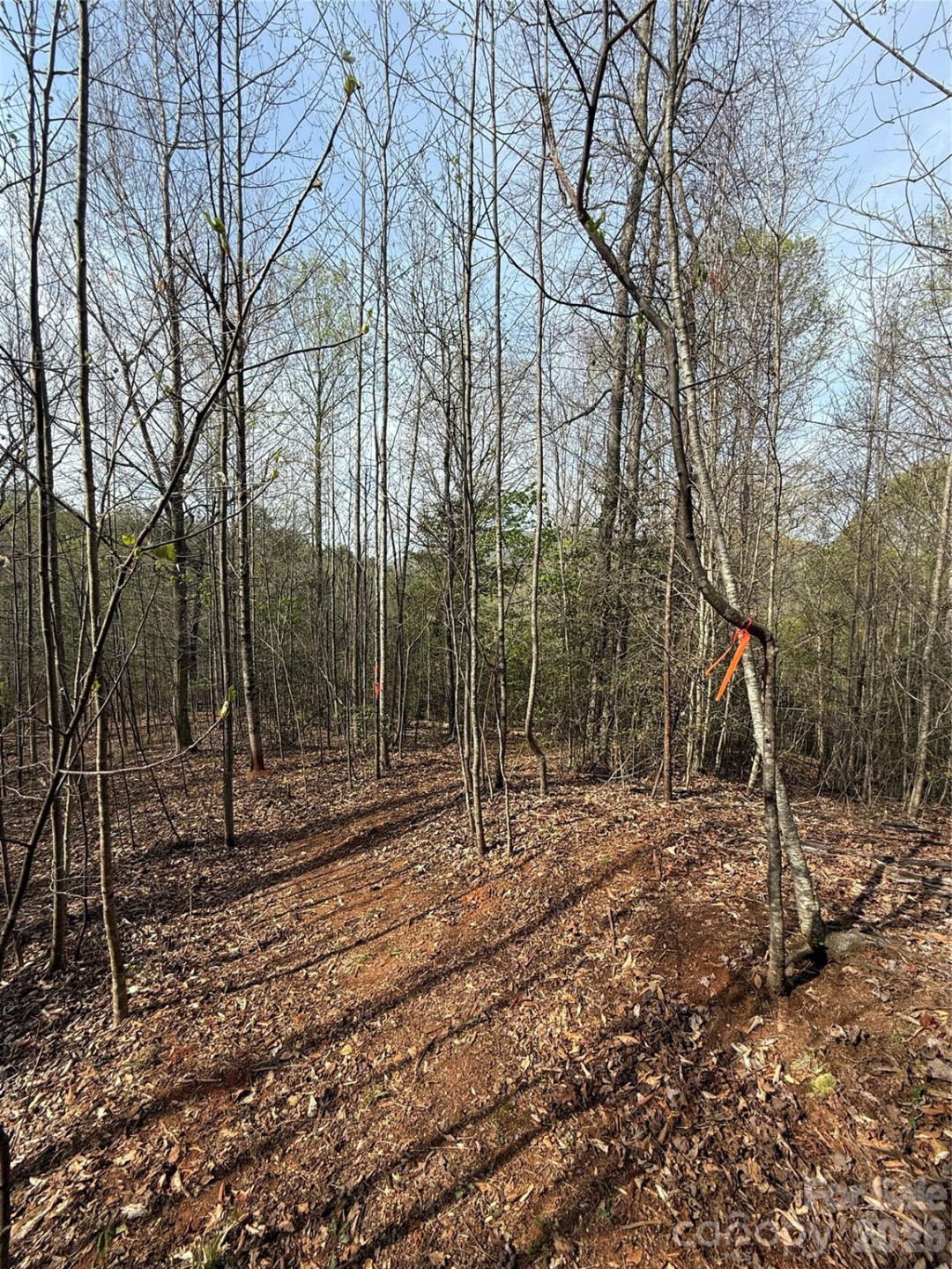 Lot # 3 West Legacy Drive #3 - Photo 58