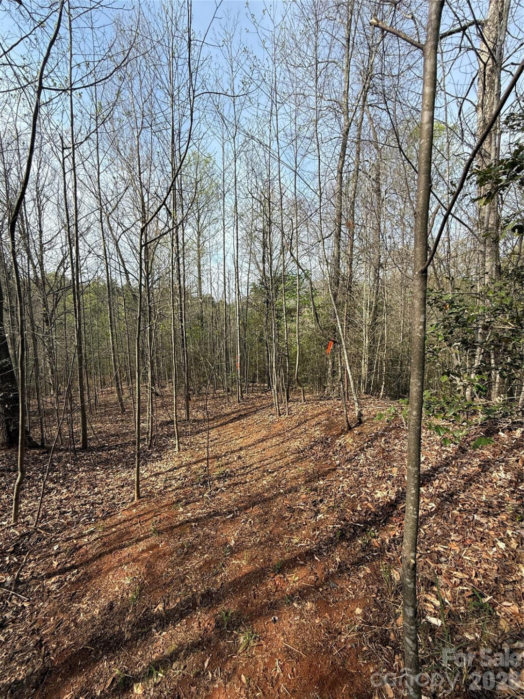 Lot # 3 West Legacy Drive #3 - Photo 59