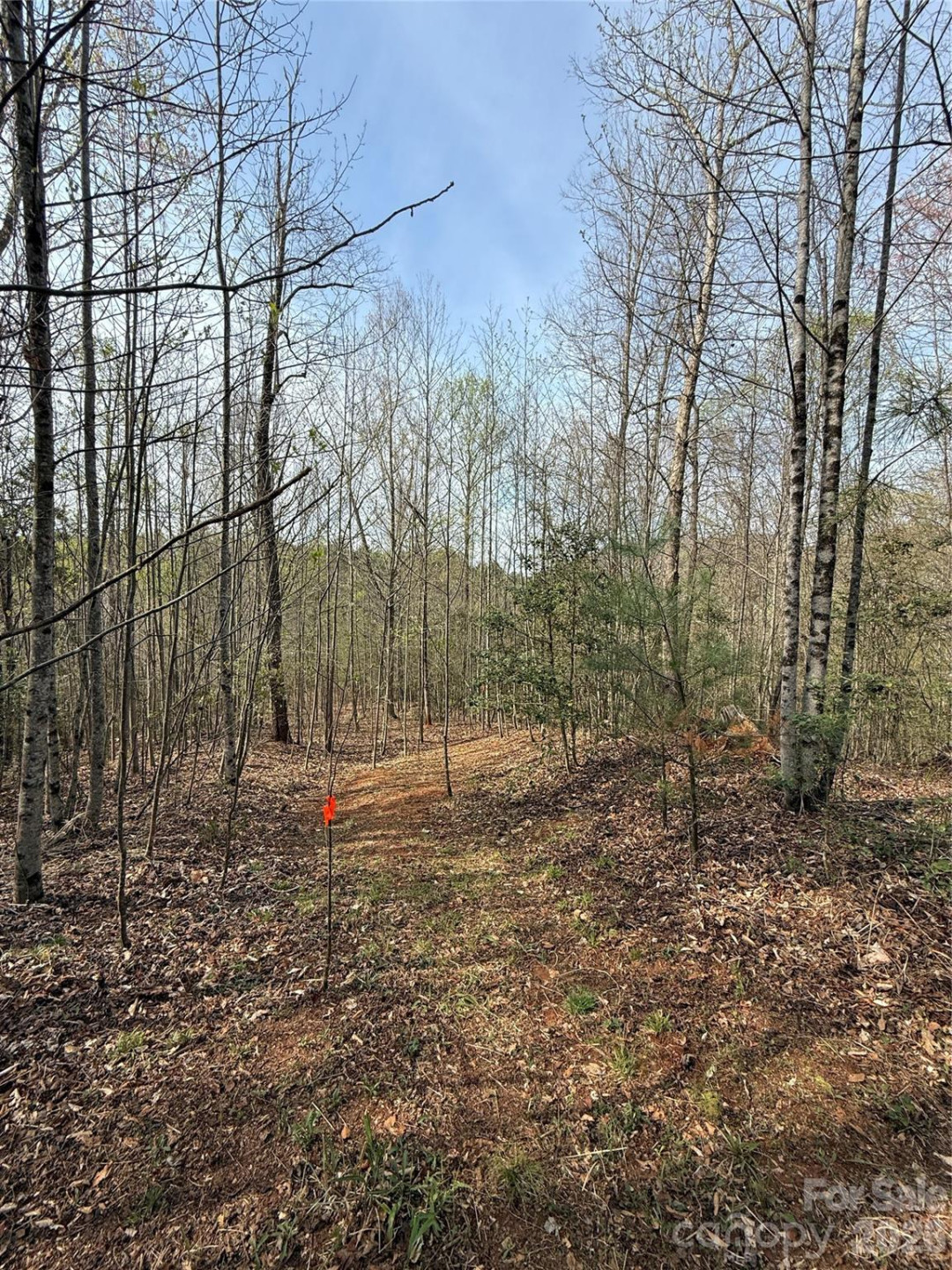 Lot # 3 West Legacy Drive #3 - Photo 60